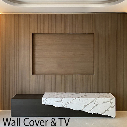 Wall Cover & TV